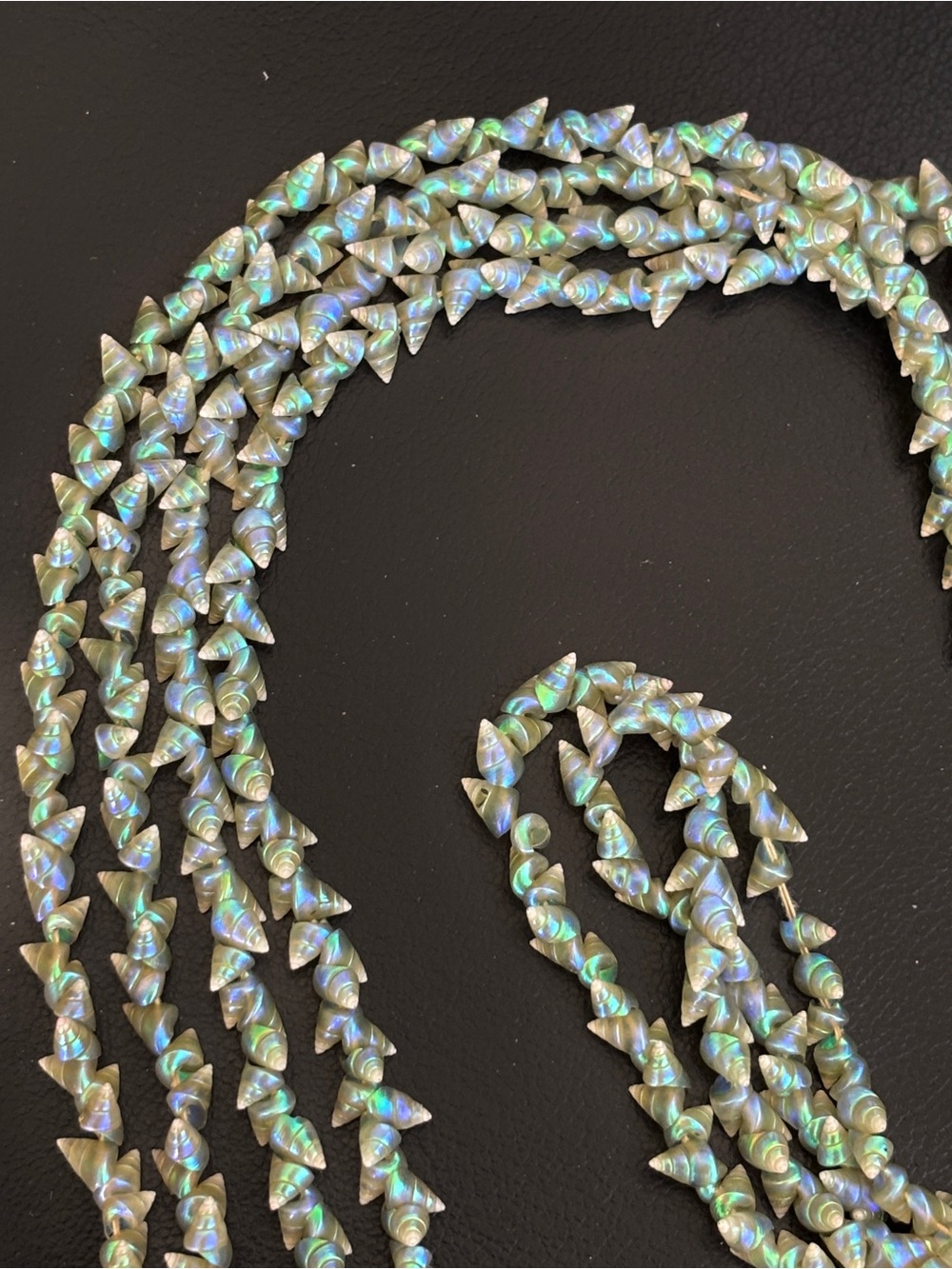 Rare Antique Natural Iridescent Tasmanian Marineer Shell Strand Necklace 72”